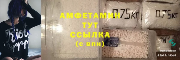 шишки Нязепетровск