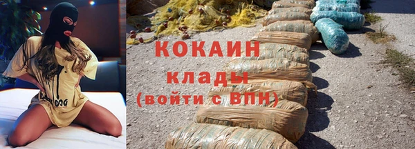 шишки Нязепетровск