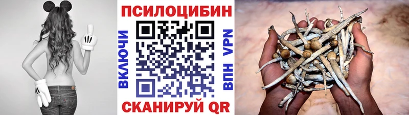Псилоцибиновые грибы Cubensis  купить  цена  Лосино-Петровский 