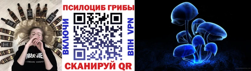 Псилоцибиновые грибы Cubensis Лосино-Петровский