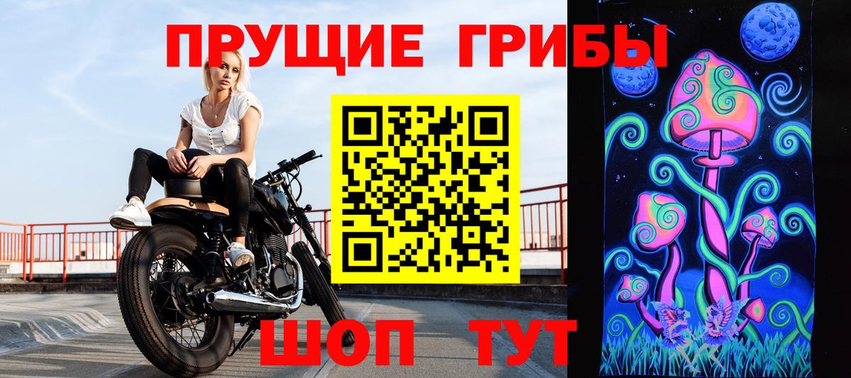 Псилоцибиновые грибы мицелий Лосино-Петровский