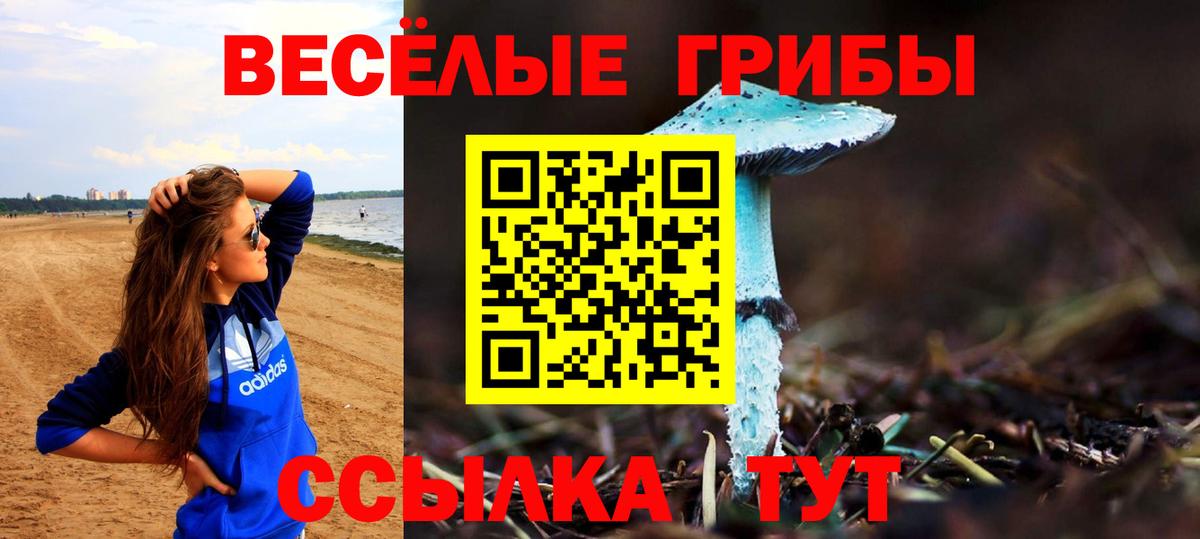 как найти   Вход с VPN  Лосино-Петровский  Псилоцибиновые грибы MAGIC MUSHROOMS 